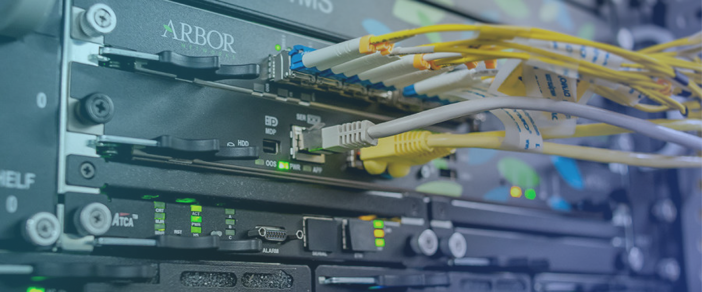 Arbor Networks Availability Protection System (APS)